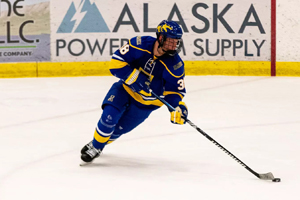 Arvils Bergmanis image