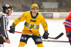 Daniels Berzins image